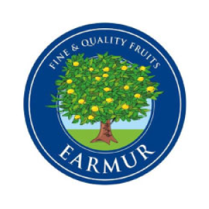 logo-earmur-caso-exito